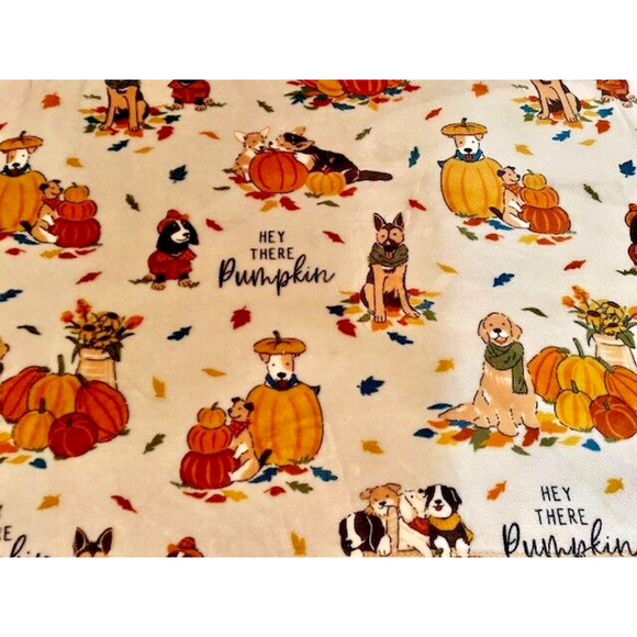 Throw Blanket 50"x 60" Fall Home Decor Soft Polyester Fiber By Celebrate - Picture 2 of 11